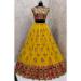 Picture of Beauteous Net Dark Golden Rod Lehenga Choli