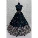 Picture of Grand Silk Midnight Blue Lehenga Choli