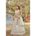 Picture of Superb Satin Silver Lehenga Choli