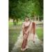 Picture of Pretty Silk Brown Saree