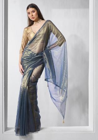 Picture of Magnificent Net Slate Grey Saree