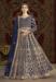 Picture of Appealing Net Dark Slate Grey Party Wear Gown