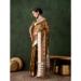 Picture of Amazing Organza Sienna Saree