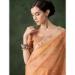 Picture of Lovely Organza Chocolate Saree