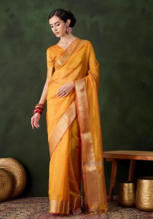 Picture of Splendid Organza Sandy Brown Saree