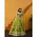 Picture of Sightly Silk Olive Lehenga Choli