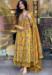 Picture of Admirable Chiffon Sandy Brown Readymade Salwar Kameez