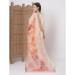 Picture of Beautiful Chiffon Linen Readymade Salwar Kameez