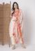 Picture of Gorgeous Chiffon Beige Readymade Salwar Kameez