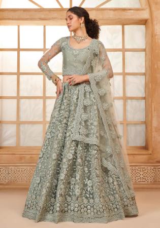 Picture of Wonderful Net Grey Lehenga Choli