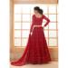 Picture of Splendid Net Fire Brick Lehenga Choli