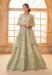 Picture of Delightful Net Dark Khaki Lehenga Choli