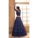 Picture of Amazing Net Dark Slate Grey Lehenga Choli