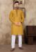 Picture of Wonderful Linen & Silk Golden Rod Kurtas