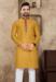 Picture of Delightful Linen & Silk Golden Rod Kurtas