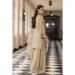 Picture of Graceful Georgette Tan Straight Cut Salwar Kameez