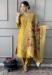 Picture of Pleasing Chiffon Olive Readymade Salwar Kameez