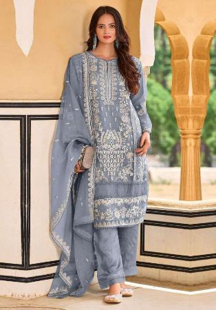 Picture of Organza Light Slate Grey Straight Cut Salwar Kameez