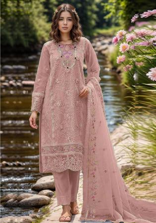 Picture of Organza Rosy Brown Straight Cut Salwar Kameez