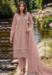 Picture of Organza Rosy Brown Straight Cut Salwar Kameez