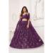 Picture of Charming Net Brown Lehenga Choli