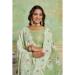 Picture of Comely Cotton Dark Khaki Saree