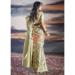 Picture of Exquisite Satin Tan Saree