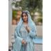 Picture of Organza Light Steel Blue Straight Cut Salwar Kameez