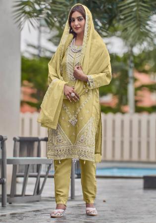 Picture of Shapely Organza Tan Straight Cut Salwar Kameez