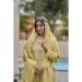 Picture of Shapely Organza Tan Straight Cut Salwar Kameez