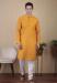 Picture of Gorgeous Cotton & Silk Golden Rod Kurtas