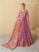 Picture of Well Formed Organza Brown Anarkali Salwar Kameez