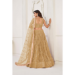 Picture of Beautiful Net Dark Khaki Lehenga Choli