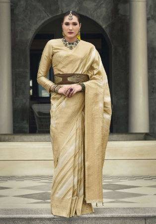 Picture of Magnificent Silk Tan Saree