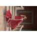 Picture of Comely Georgette Indian Red Readymade Salwar Kameez