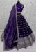 Picture of Magnificent Chiffon Indigo Lehenga Choli