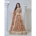 Picture of Sightly Net Sienna Lehenga Choli