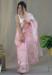 Picture of Magnificent Organza Thistle Saree