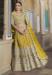 Picture of Well Formed Net Dark Golden Rod Lehenga Choli