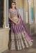 Picture of Lovely Net Purple Lehenga Choli